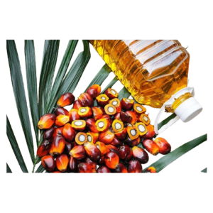 Palm Oil